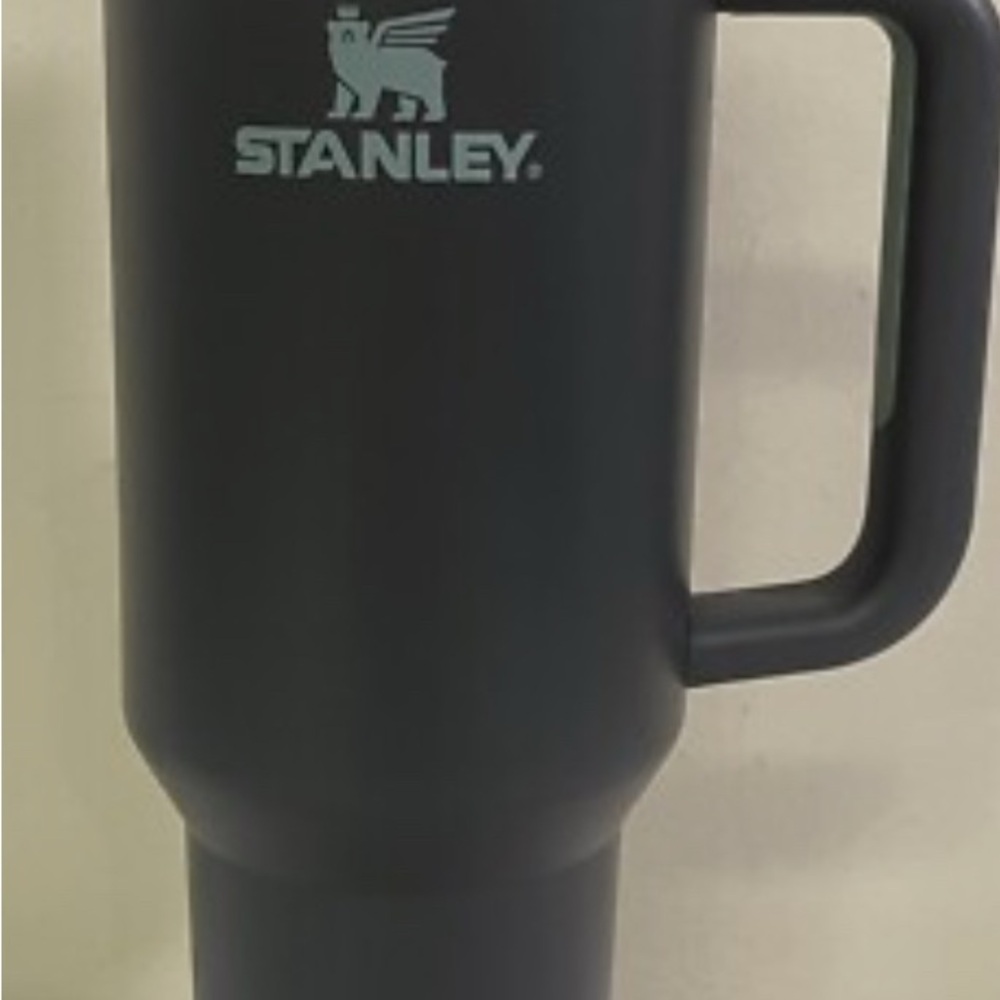 Stanley Quencher H2.0 20oz Tumbler With Lid And Handle Charcoal/ Mint BPA Free